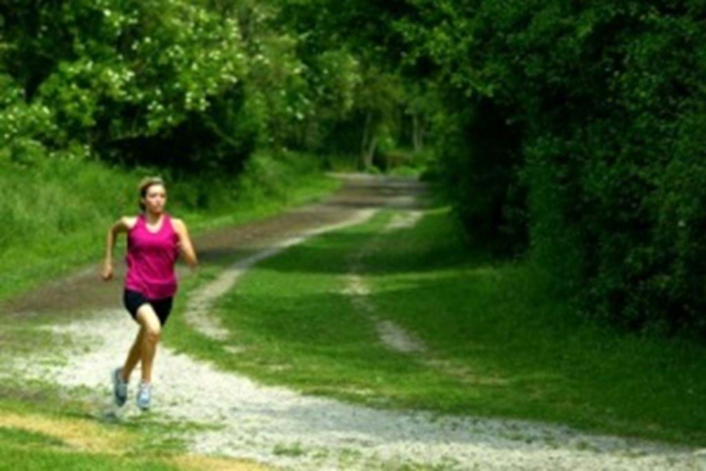 Sheffield_story.jpg (1)