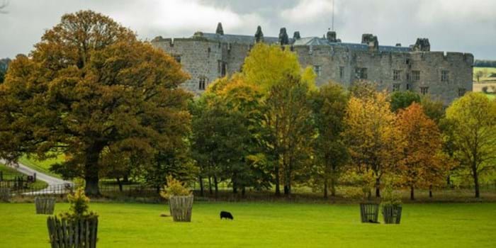 Runners at National Trust