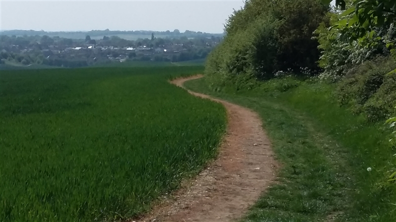 Stanborough Park (North side car park - outside Ice Cream shop) - Beginners Trail Running Group Session