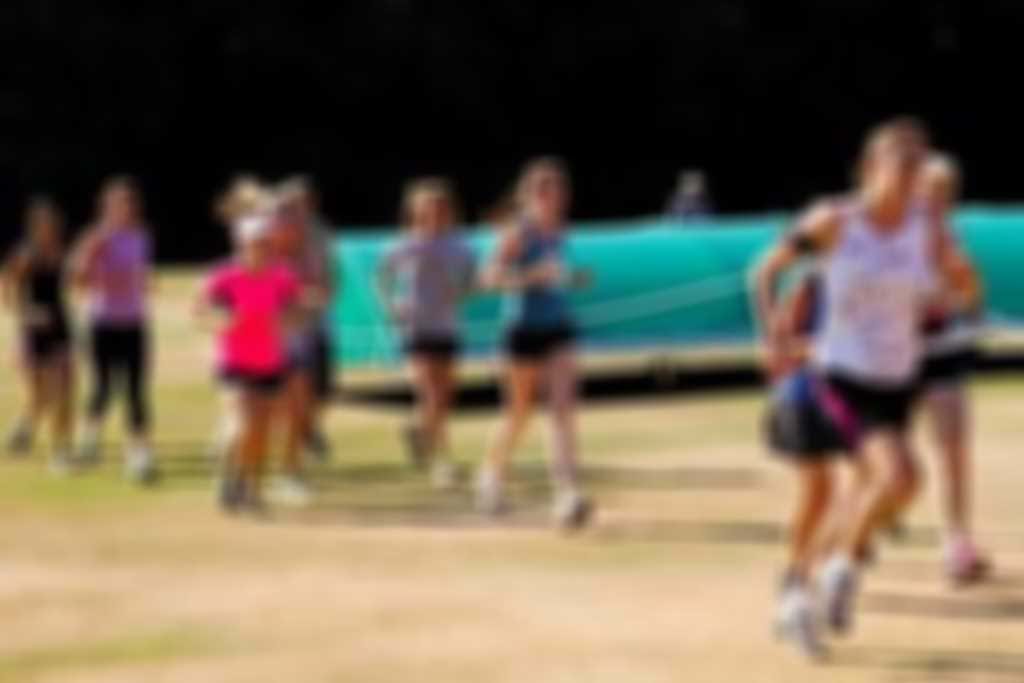 Holly_Hill_Group.jpg blurred out