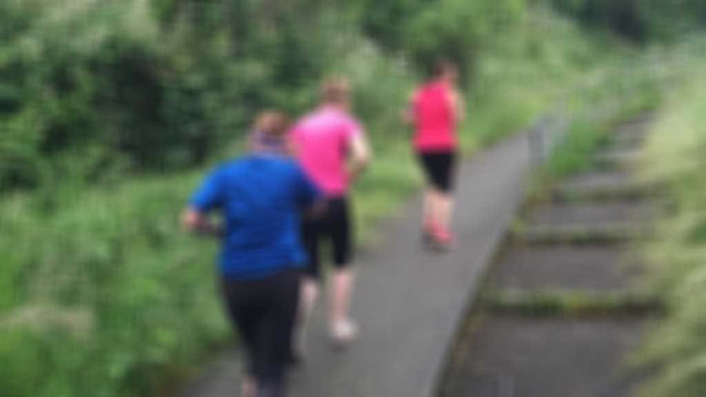 Elm_Park.jpg blurred out