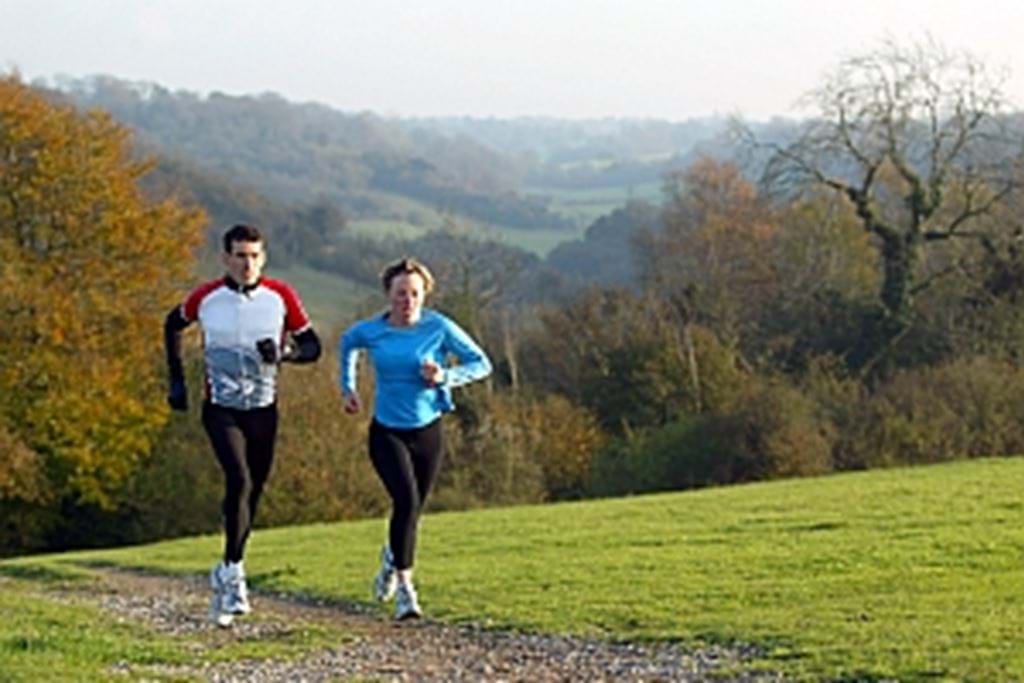 library-media_images_training_300_v2.jpg (2)