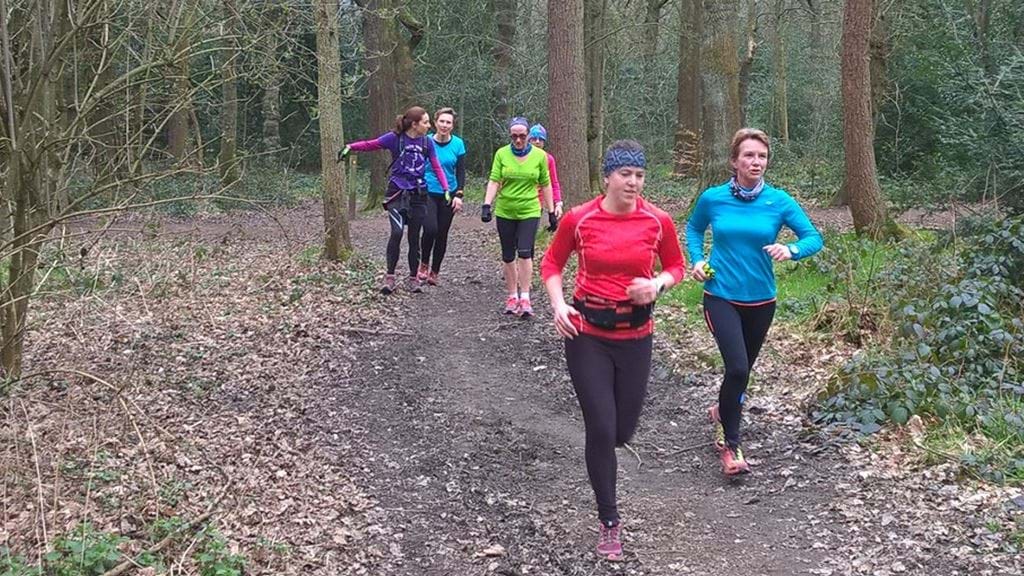 HREccelsall WoodsWP_20160322_10_20_08_Pro.jpg