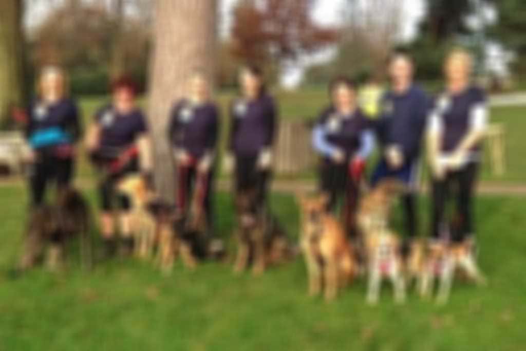 Parkrunjoggydoggy300.jpg blurred out