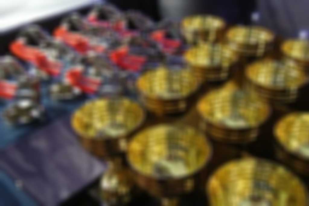 Awards_trophies.JPG blurred out
