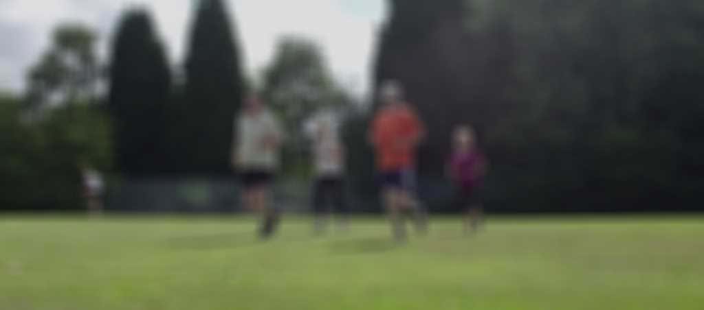 LRS_project.jpg blurred out