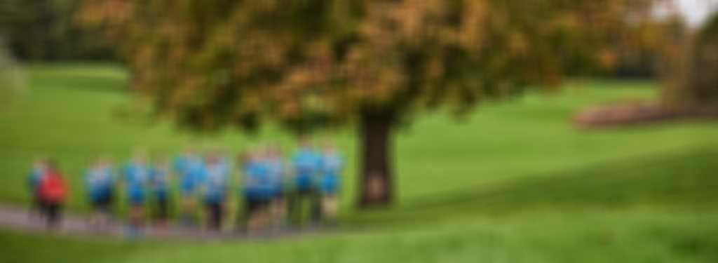 ADI_4151-letterbox.jpg blurred out