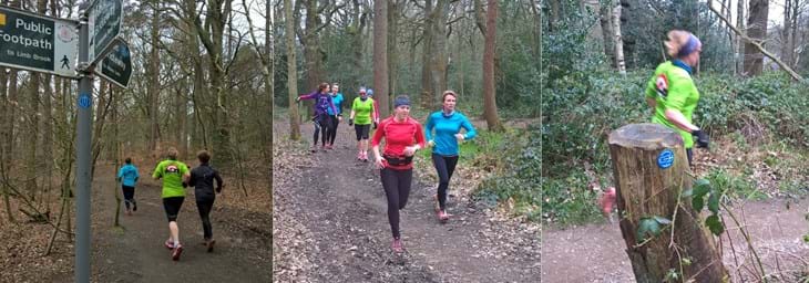 Running in woodland