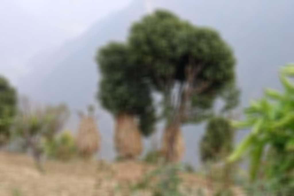 MTNktm_1_313-300.JPG blurred out