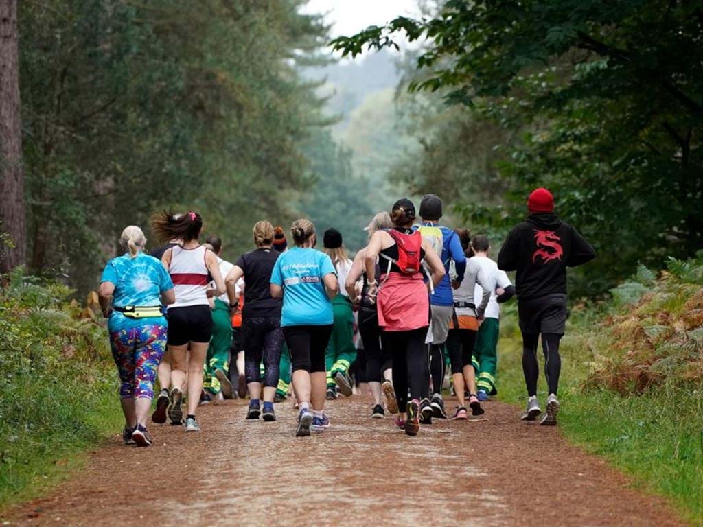 Forestry England5jpg.jpg