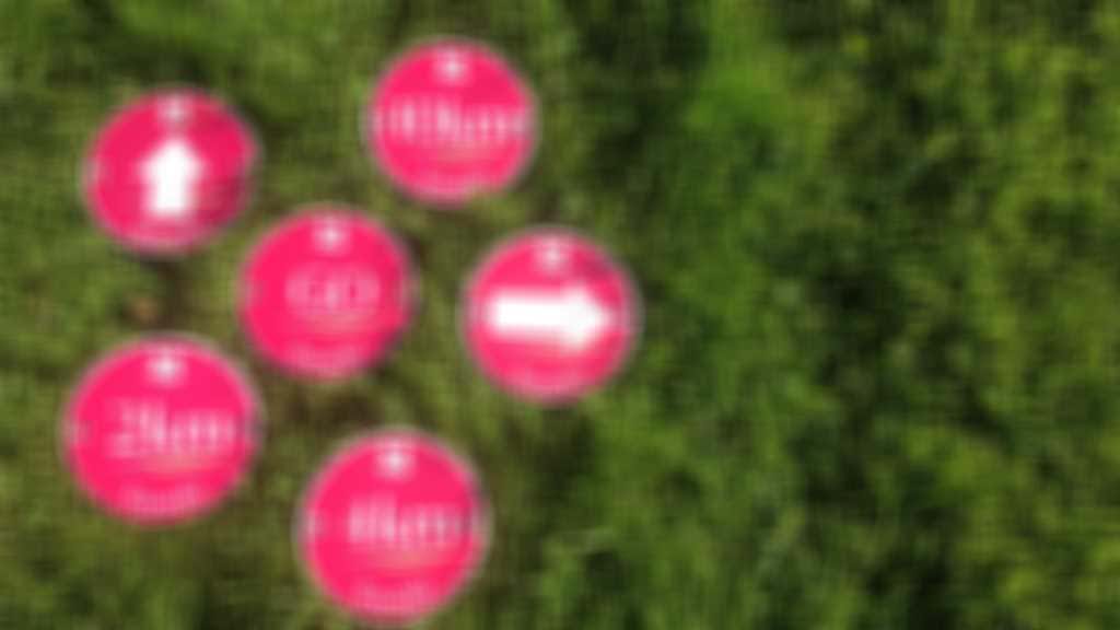 NT10ktags-IMG_1782-300.JPG blurred out